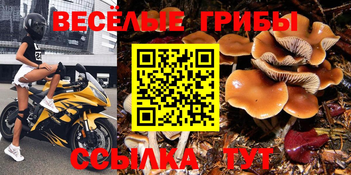Псилоцибиновые грибы прущие грибы Нурлат