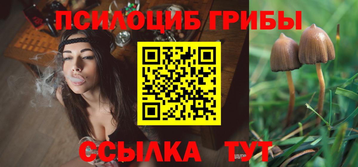 купить наркоту  Галлюциногенные грибы мицелий  Вход с VPN  Нурлат 