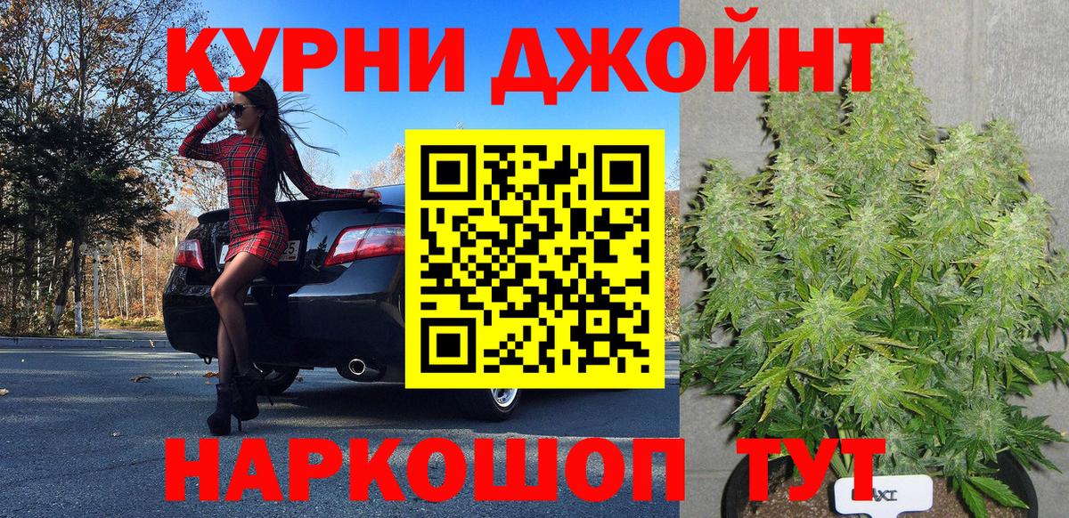 Бошки Шишки семена Нурлат